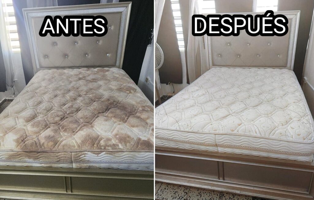 limpieza de mattresss y tambien desinfeccion.