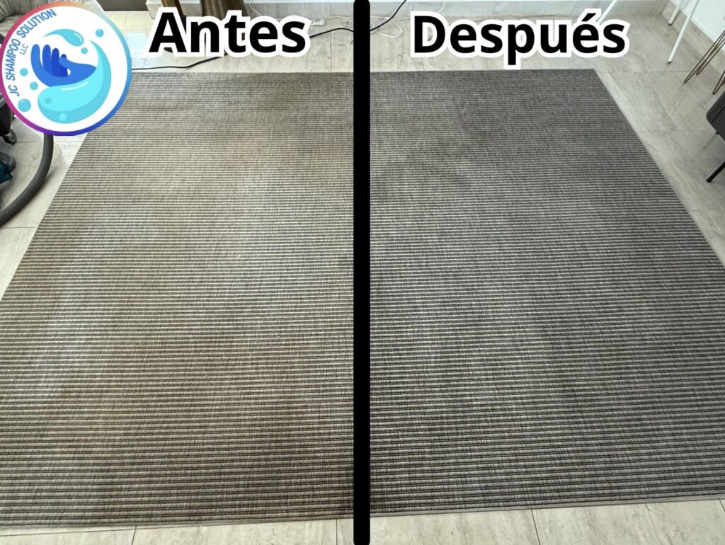 limpieza de alfombras y tambien desinfeccion.